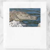Sticker Rectangulaire Crocodile américain (Sac)