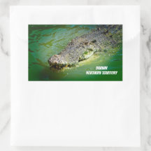 Crocodile d'eau salée de Darwin