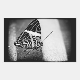 Sticker Rectangulaire croisement papillon