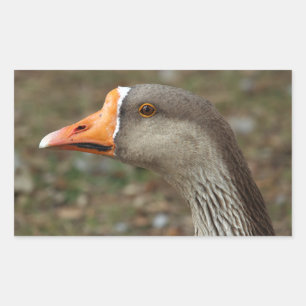 Sticker Rectangulaire Croix du cygne gris