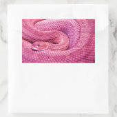 Sticker Rectangulaire Crotale rose Basilisk (Sac)