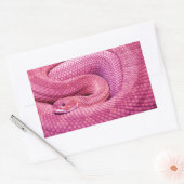 Sticker Rectangulaire Crotale rose Basilisk (Enveloppe)