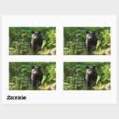 Sticker Rectangulaire Curieux ours noir (Feuille)