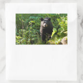 Sticker Rectangulaire Curieux ours noir (Sac)