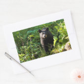 Sticker Rectangulaire Curieux ours noir (Enveloppe)