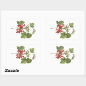 Sticker Rectangulaire currant rouge (Ribes rubrum) par Redouté (Feuille)