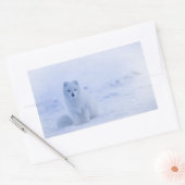 Sticker Rectangulaire Cute Arctic Fox sur Snowy Winter Arrière - plan (Enveloppe)
