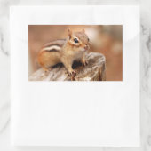 Sticker Rectangulaire Cute Chipmunk en attente (Sac)