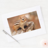 Sticker Rectangulaire Cute Chipmunk en attente (Enveloppe)