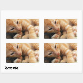 Sticker Rectangulaire Cute Tiger Stripe Kitten (Feuille)