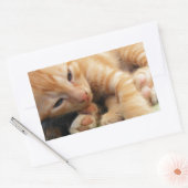 Sticker Rectangulaire Cute Tiger Stripe Kitten (Enveloppe)