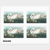 Sticker Rectangulaire cygne audubon cygnes d'eau blanche (Feuille)