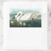 Sticker Rectangulaire cygne audubon cygnes d'eau blanche (Sac)