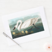 Sticker Rectangulaire cygne audubon cygnes d'eau blanche (Enveloppe)