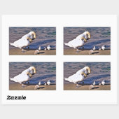 STICKER RECTANGULAIRE CYGNES (Feuille)