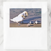 STICKER RECTANGULAIRE CYGNES (Sac)