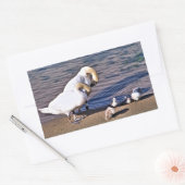 STICKER RECTANGULAIRE CYGNES (Enveloppe)