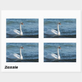 Sticker Rectangulaire Cygnus cygne blanc (Feuille)