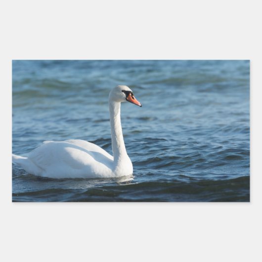 Sticker Rectangulaire Cygnus cygne blanc (Devant)