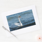 Sticker Rectangulaire Cygnus cygne blanc (Enveloppe)