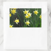 Sticker Rectangulaire Daffodiques de printemps (Sac)
