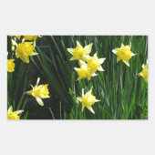 Sticker Rectangulaire Daffodiques de printemps (Devant)