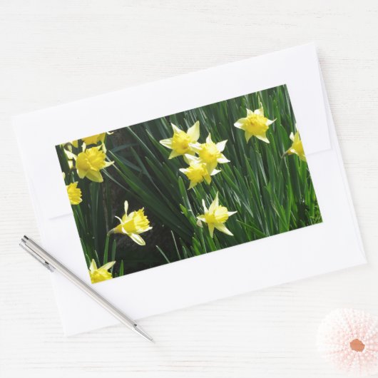 Sticker Rectangulaire Daffodiques de printemps (Enveloppe)