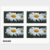 Sticker Rectangulaire Daisy - Face vers le haut (Feuille)