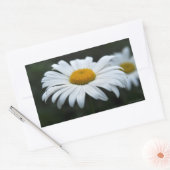 Sticker Rectangulaire Daisy - Face vers le haut (Enveloppe)