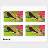 Sticker Rectangulaire Damselfly et Rose (Feuille)