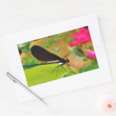 Sticker Rectangulaire Damselfly et Rose (Enveloppe)