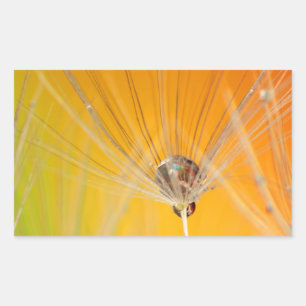 Sticker Rectangulaire Dandelion Fleurs Destiny Peace Love Art