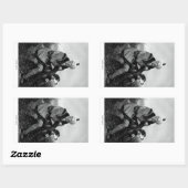 Sticker Rectangulaire Daniel Boone (Feuille)