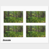 Sticker Rectangulaire dans la forêt à fort snelling state park (Feuille)