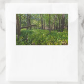 Sticker Rectangulaire dans la forêt à fort snelling state park (Sac)