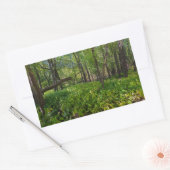 Sticker Rectangulaire dans la forêt à fort snelling state park (Enveloppe)