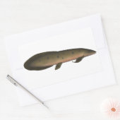 Sticker Rectangulaire Dauphin australien (Enveloppe)