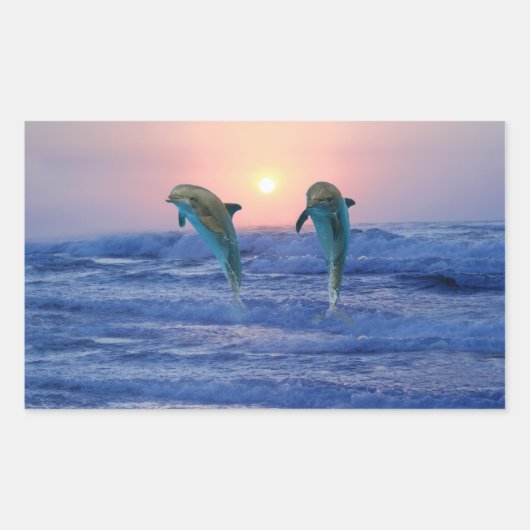 Sticker Rectangulaire Dauphin de verdure au lever du soleil (Devant)
