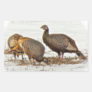 Sticker Rectangulaire Déchets sauvages en neige