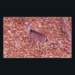 Sticker Rectangulaire Deer in the leaves<br><div class="desc">Cerf aux feuille A Deer : Personnalisez avec le nom Photo de Sandy Closs,  prise au lac Arrowhead Ga. "amoureux des animaux" "cerf à queue blanche",  cerf,  "chasseur de cerfs",  "amateur de cerfs",  "chasseur",  "amateur de cerfs", " amateur de cerfs",  "amateur de cerfs",  or rouge vert,  Noël</div>