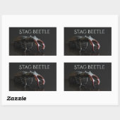 Sticker Rectangulaire Dendroctone du pin (Feuille)