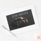 Sticker Rectangulaire Dendroctone du pin (Enveloppe)
