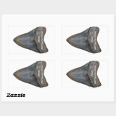 Sticker Rectangulaire Dent de requin Megalodon (Feuille)