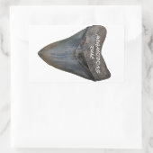 Sticker Rectangulaire Dent de requin Megalodon (Sac)