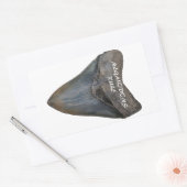 Sticker Rectangulaire Dent de requin Megalodon (Enveloppe)