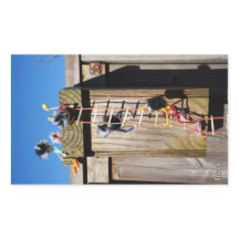 Des fubby qui grimpent dans une maison d'oiseaux.