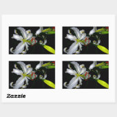 Sticker Rectangulaire Design irlandais en laiton et en fleur (Feuille)