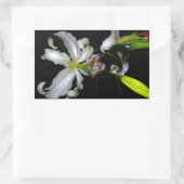 Sticker Rectangulaire Design irlandais en laiton et en fleur (Sac)