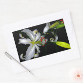 Sticker Rectangulaire Design irlandais en laiton et en fleur (Enveloppe)