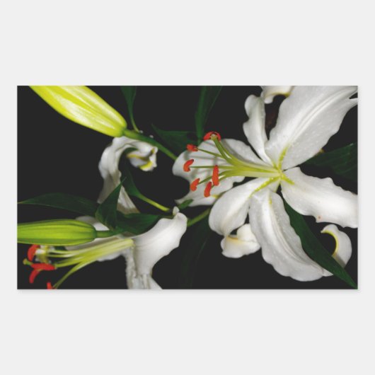 Sticker Rectangulaire Design irlandais - La collection Flower (Devant)